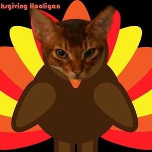 Meet your Posher, Wendy